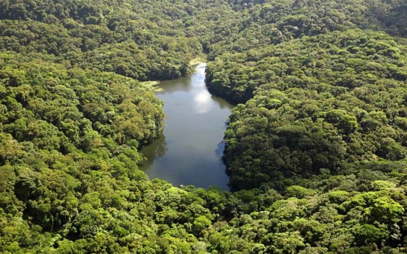 Açude do Camorim, santuário ecológico no Parque Estadual da Pedra Branca