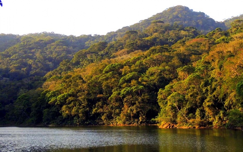 Parque Estadual da Pedra Branca tem o pico mais alto do Rio, praias selvagens e açude no meio da floresta