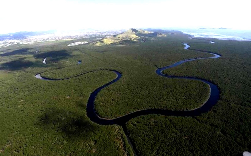 Área de Proteção Ambiental de Guapi-Mirim: pantanal carioca