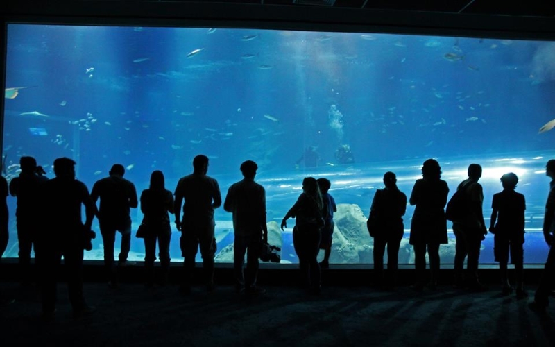 AquaRio e BioParque têm promoção especial para o Dia das Mães