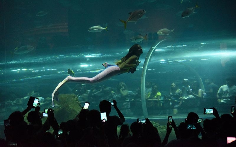 AquaRio tem programação com Surf Week e mergulho da Sereia