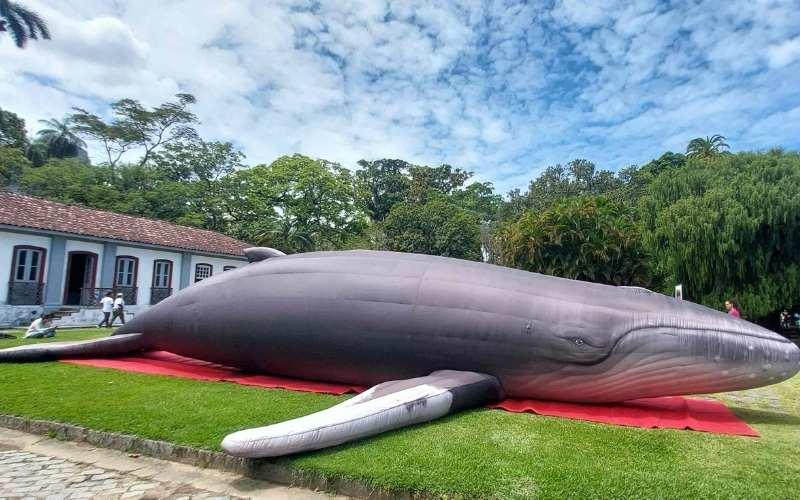 Baleia jubarte inflável gigante é atração imersiva no Jardim Botânico do Rio até o próximo domingo (26)