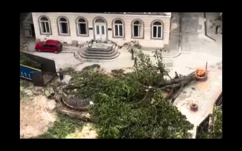 Justiça do Rio embarga obra no antigo Colégio Bennett após corte de árvores no Flamengo