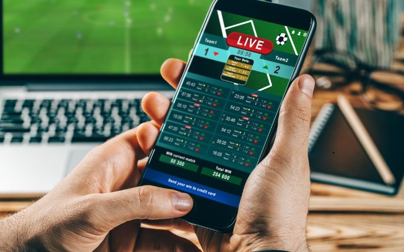 Especialista afirma que algoritmo das bets é programado para favorecer as plataformas