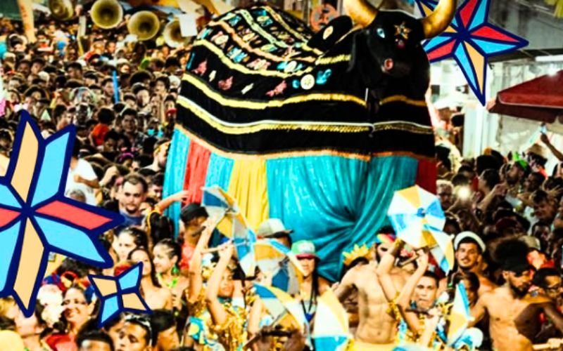 Boi da Macuca leva o frevo de Pernambuco para a rua