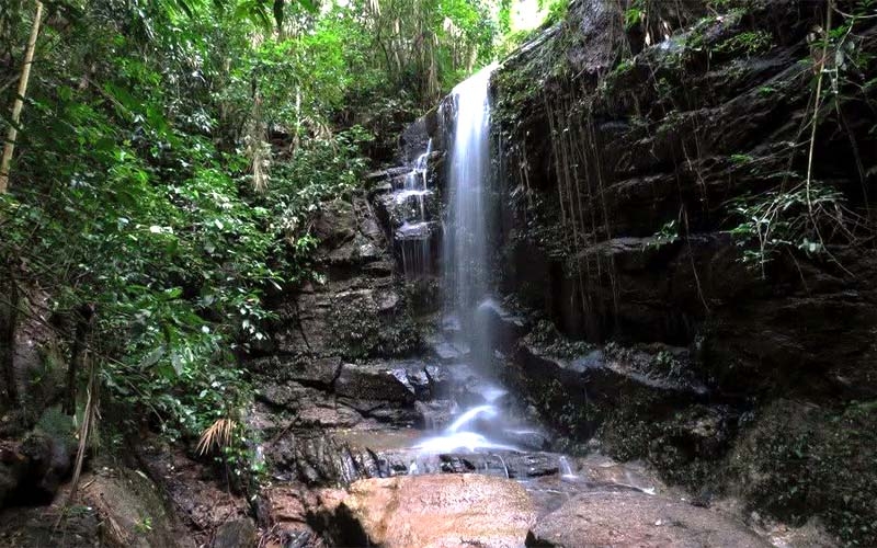 Caminhada até a Cachoeira das Almas no Parque da Tijuca