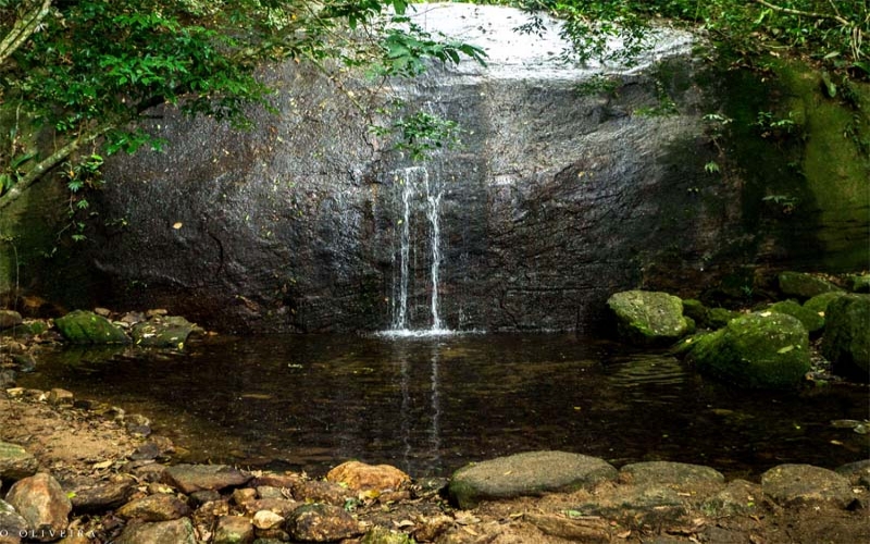 Cachoeira dos Primatas, uma boa opção no Horto