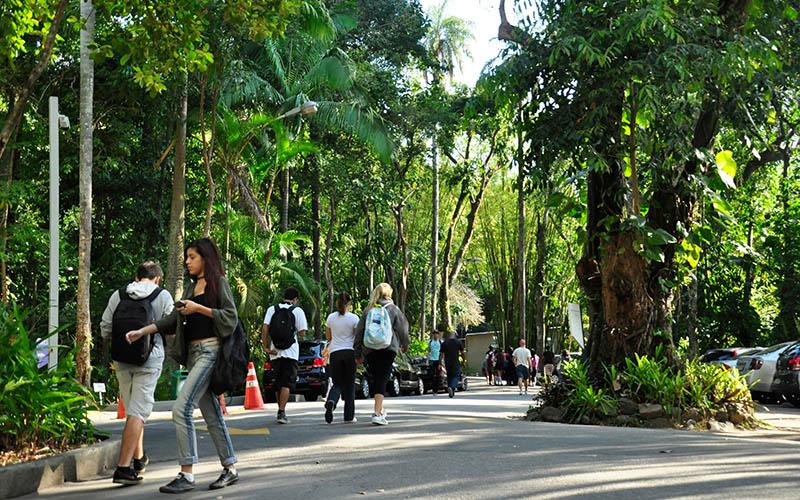 Corredor Cultural da PUC-Rio terá cerca de 20 atrações gratuitas