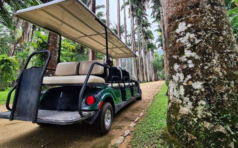 Passeio em carro elétrico no Jardim Botânico do Rio de Janeiro