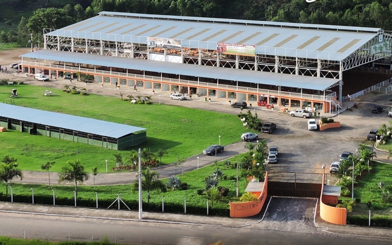 Sapucaia tem o único centro hípico coberto do Rio e abriga as mais importantes competições do estado