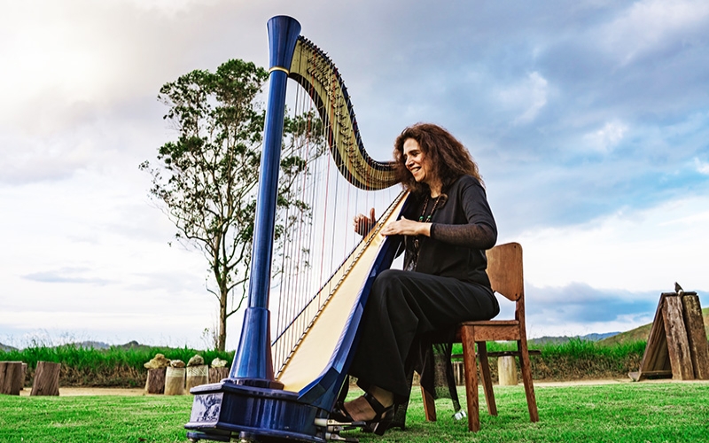 Cristina Braga comemora 45 anos de carreira com recital na Casa Museu Eva Klabin