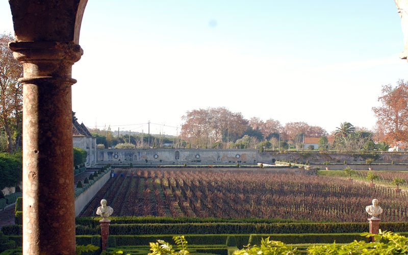 Degustação de Vinhos da Península de Setúbal