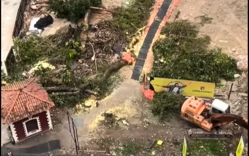 Desmatamento no antigo Colégio Bennett leva moradores do Flamengo a protesto público