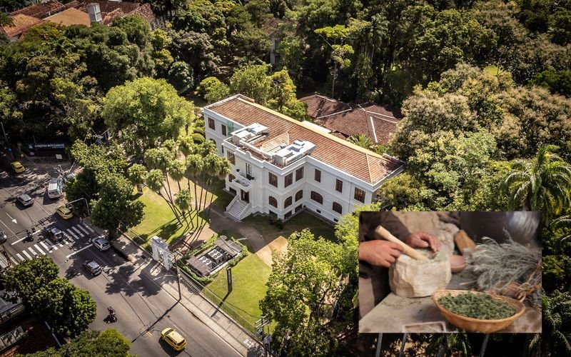 Fórum Negritude discute saberes ancestrais das ervas no Museu do Jardim Botânico