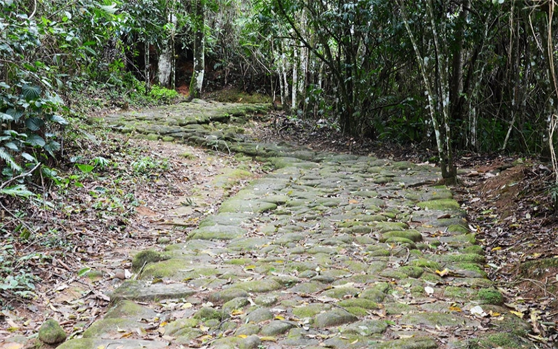 Estrada Real, construída por escravizados, tem trechos preservados em Paraty