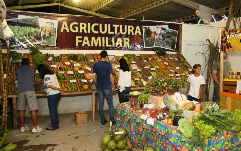 Expo Araruama Agro 2025 celebra a cultura rural com festival gastronômico e atrações 