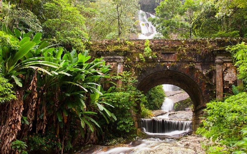 Parque Nacional da Tijuca e as regras para visitas durante a pandemia