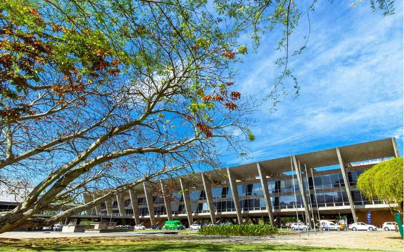 Seminário gratuito no MAM Rio discute legado da Bauhaus no design brasileiro