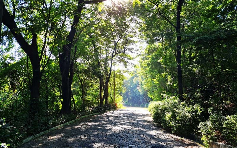 Fazendinha da Penha, um lugar incrível, quase escondido dos cariocas