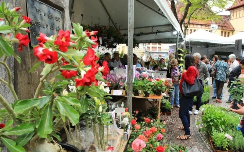 Friburgo, maior produtor de flores do estado terá Festa da Flor em outubro