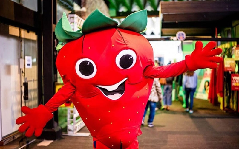 Festa do Morango com Chocolate e Festa da Flor de Nova Friburgo