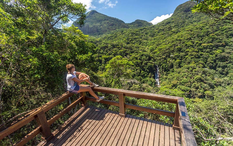 Floresta da Tijuca + Cachoeira Das Almas