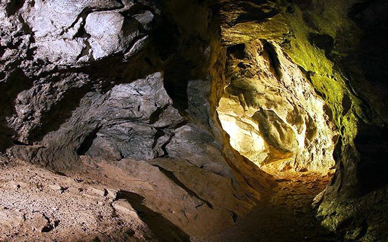 Trilha nas Grutas da Floresta da Tijuca