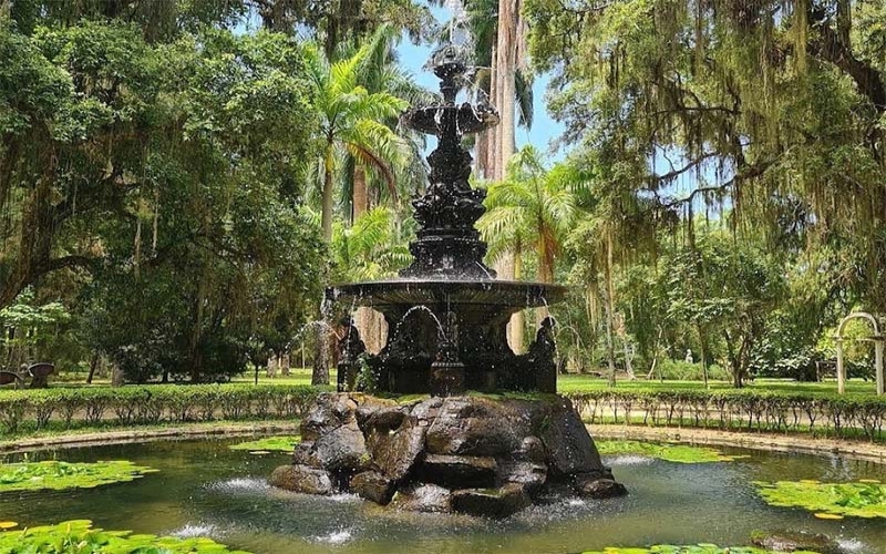 Jardim Botânico tem Trilha 