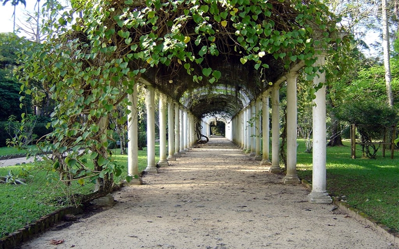 Jardim Botânico do Rio: oásis carioca