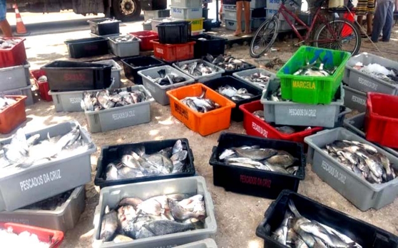 Pescadores de Iguaba comemoram o renascimento da Lagoa de Araruama