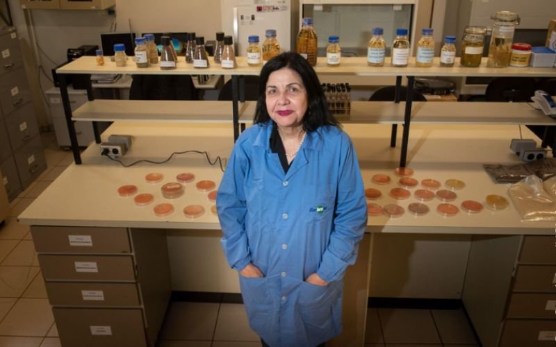Cientista da Embrapa é reconhecida pela TIME por avanços em biológicos na agricultura