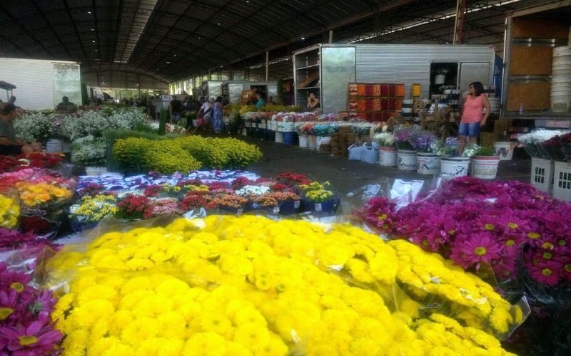 Mercado de Flores do CADEG: preços imbatíveis no Rio