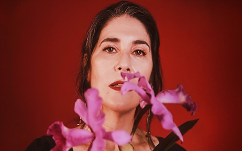 Mônica Salmaso no Teatro Riachuelo