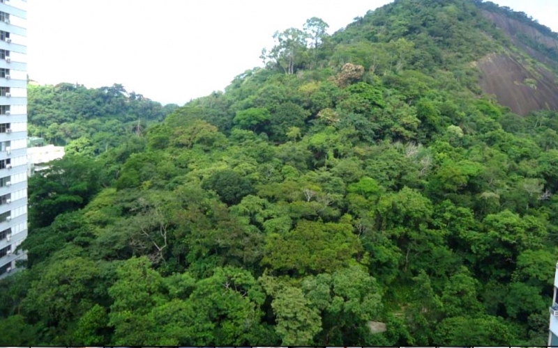 Condomínio Morada do Sol tem bosque de Burle Marx, um cantinho secreto do Rio