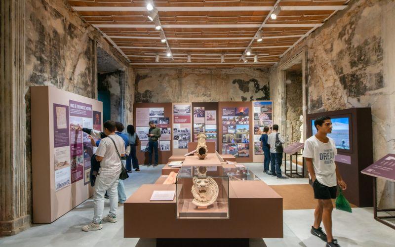 Museu Nacional prorroga mostra “Entre Gigantes: uma experiência'