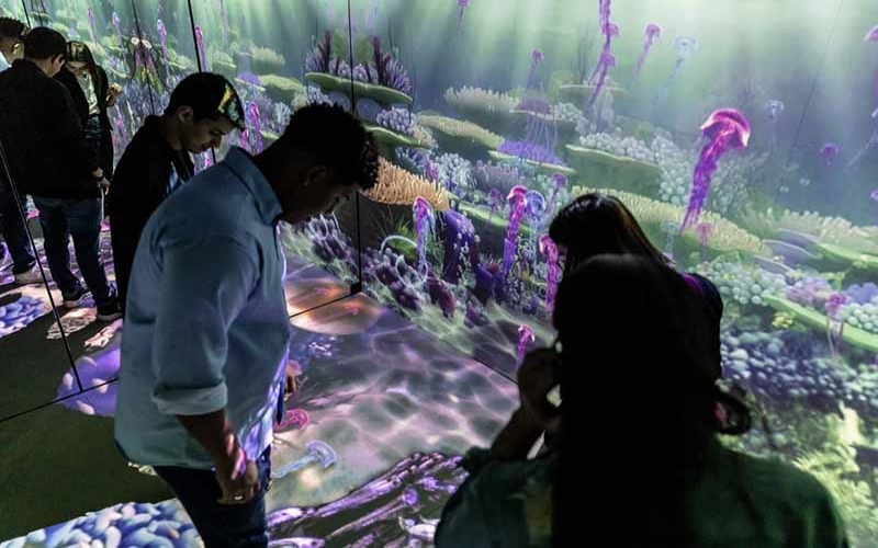 AquaRio recebe a exposição Oceano Sem Fronteiras, uma experiência imersiva