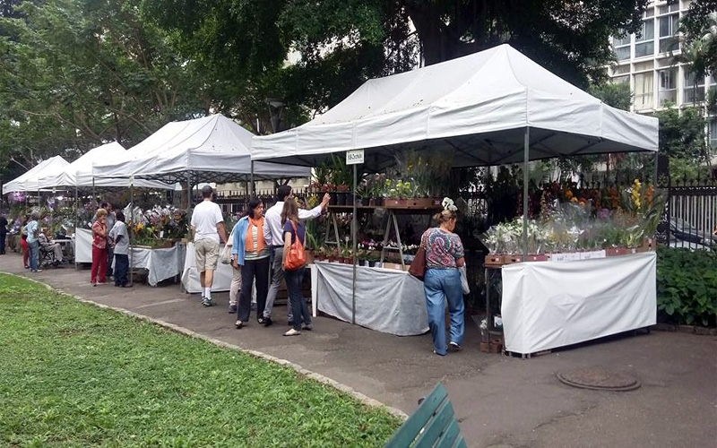 Festival de Orquídeas & Plantas Ornamentais no Museu da República