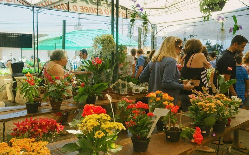 Orquídeas na Primavera no Jardim Botânico