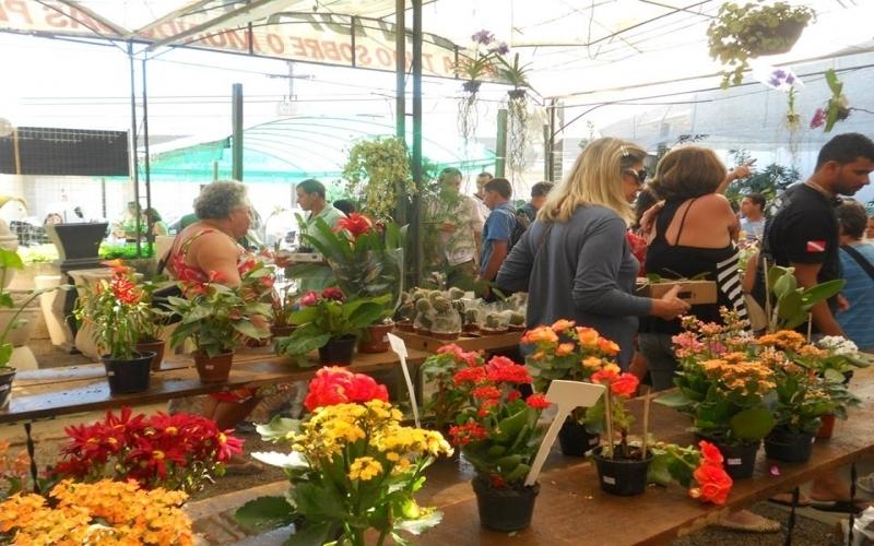 Mostra de Orquídeas e Bromélias de verão no Jardim Botânico