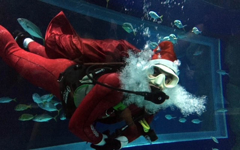 Programação de férias do AquaRio tem mergulho do Papai Noel e muito mais