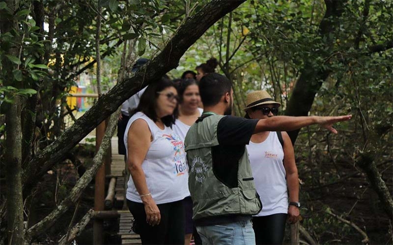 MAIS COISAS, Descubra a Essência do Rio