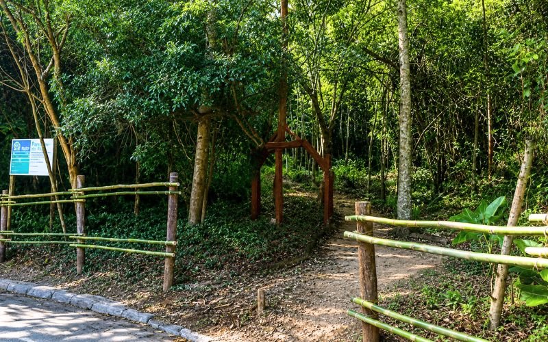 Parque da Alice celebra 5 anos com mutirão, visitas guiadas e piquenique em Laranjeiras
