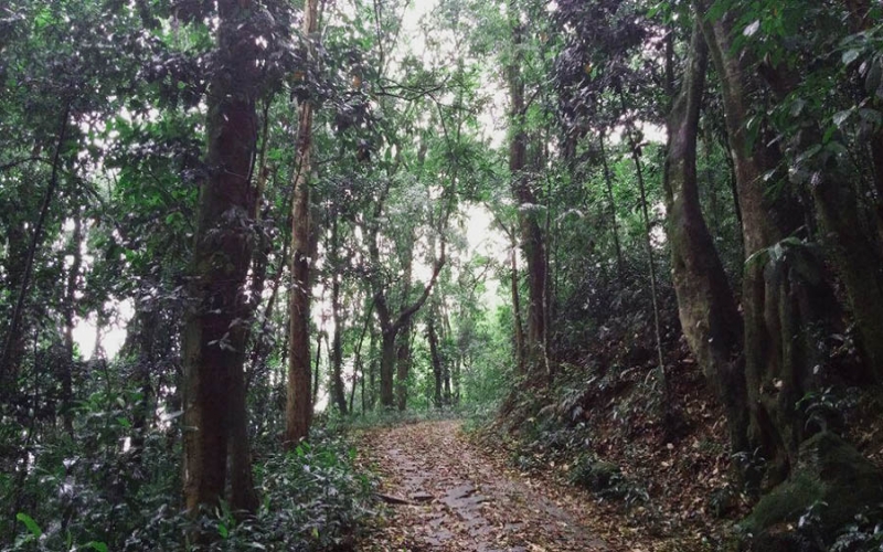 Parque da Taquara, mata atlântica, cachoeiras e lagos em Duque de Caxias