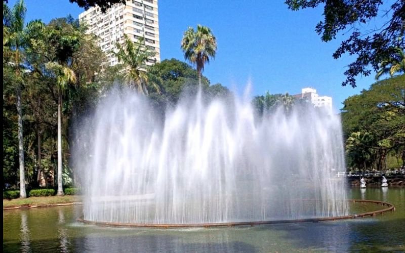 Campo de São Bento conclui limpeza de lago e devolve peixes ao local