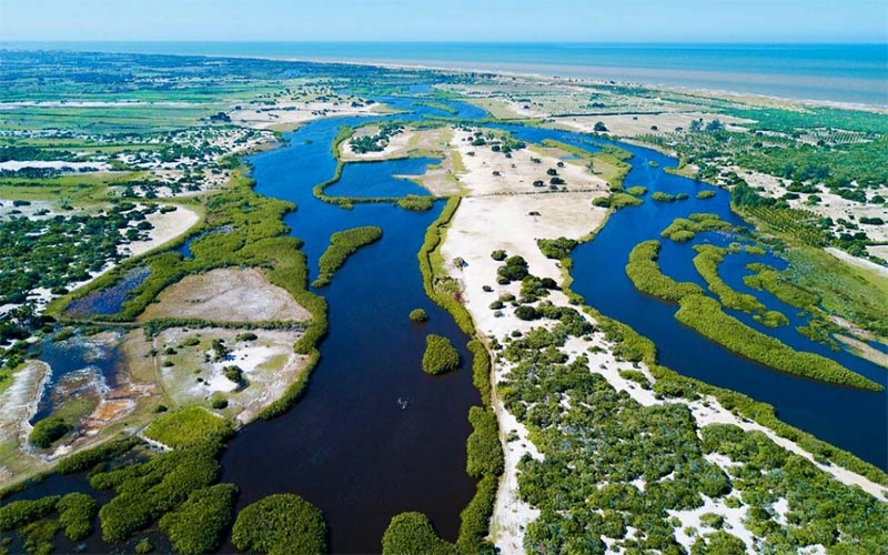 Parque Estadual da Lagoa do Açu, um lugar encantador no norte fluminense