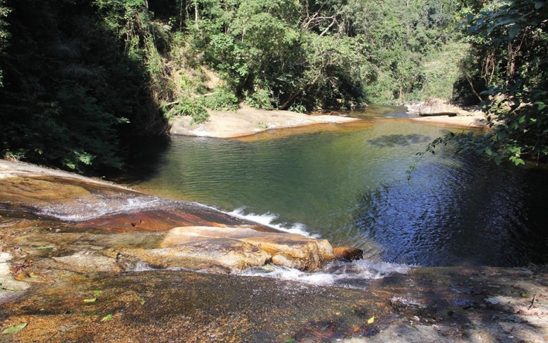 Parque Estadual do Mendanha, paraíso de Mata Atlântica na Região Metropolitana do Rio