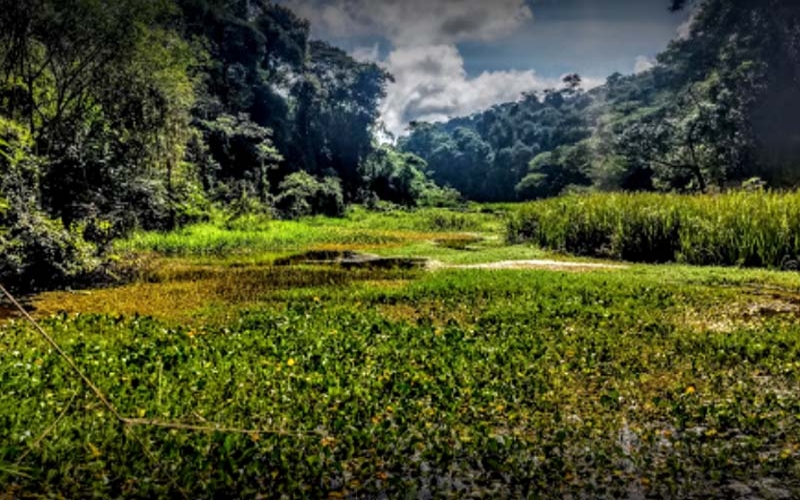 Parque Natural Municipal Fazenda Santa Cecília do Ingá, maior área verde de Volta Redonda