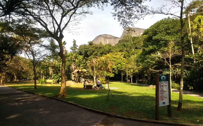 Parque da Cidade, jardim tropical na Gávea