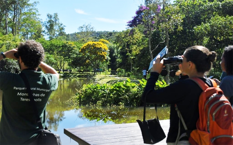 Passarinhar: uma experiência que conecta com natureza em Teresópolis