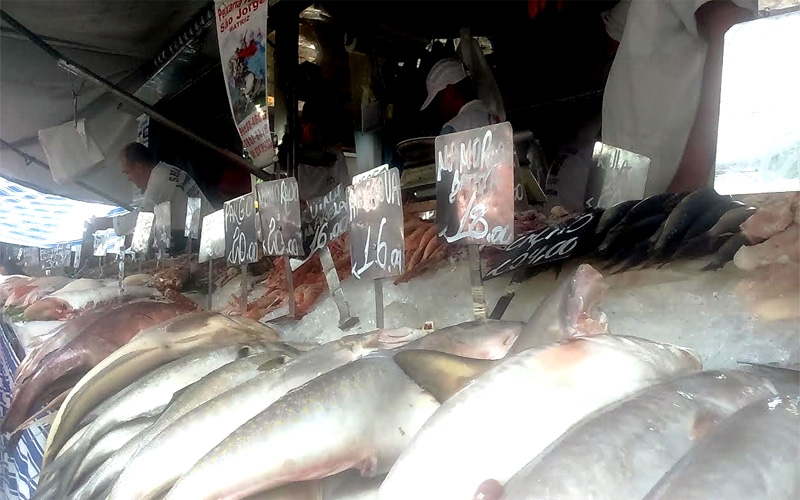 Peixaria São Jorge, variedade de peixes com entrega em domicílio
